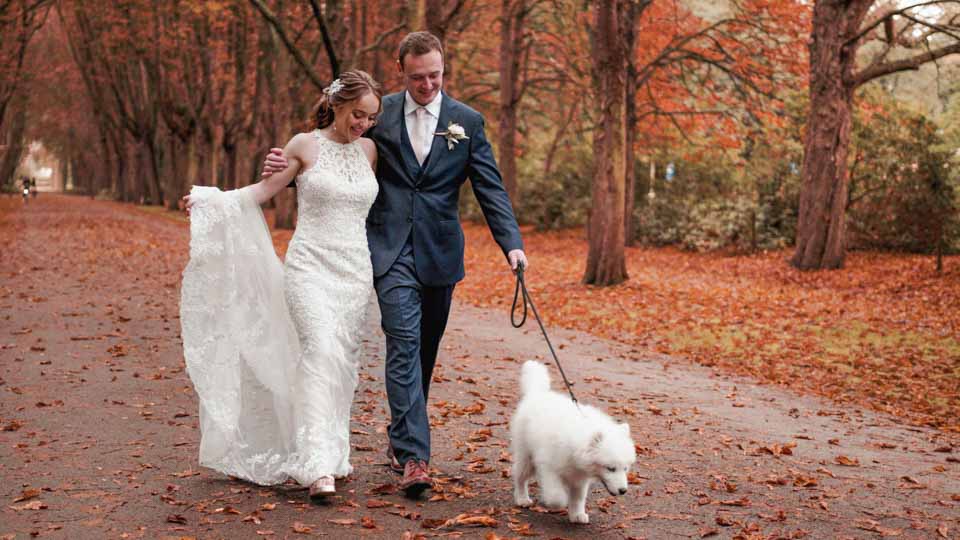 wedding couple with dog
